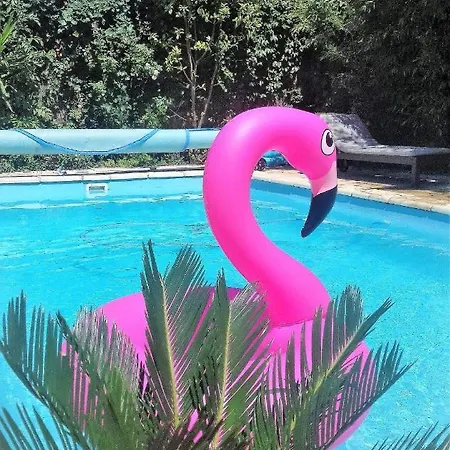 La Carcassonne, Cite 8 Min A Pieds, Clim, Piscine, Full Wifi, Borne 7,5kw, Velo Elect, Parking Prive *