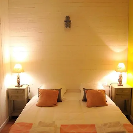 La Carcassonne, Cite 8 Min A Pieds, Clim, Piscine, Full Wifi, Borne 7,5kw, Velo Elect, Parking Prive *
